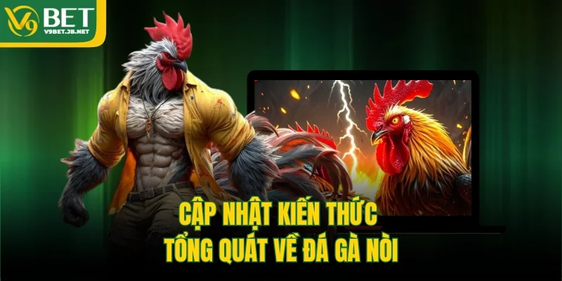 Cập nhật kiến thức tổng quát về đá gà nòi 